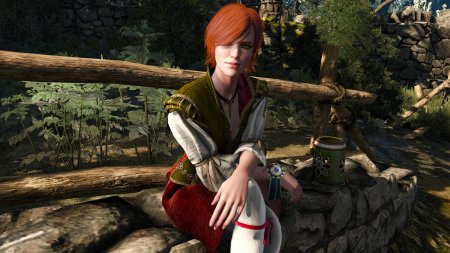 Ведьмак 3 шани