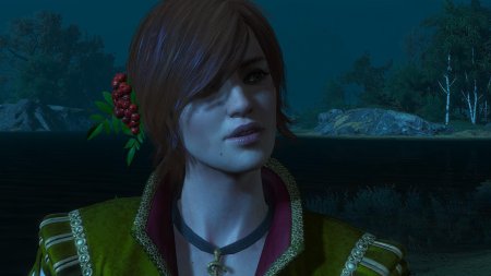 Шани ведьмак 3