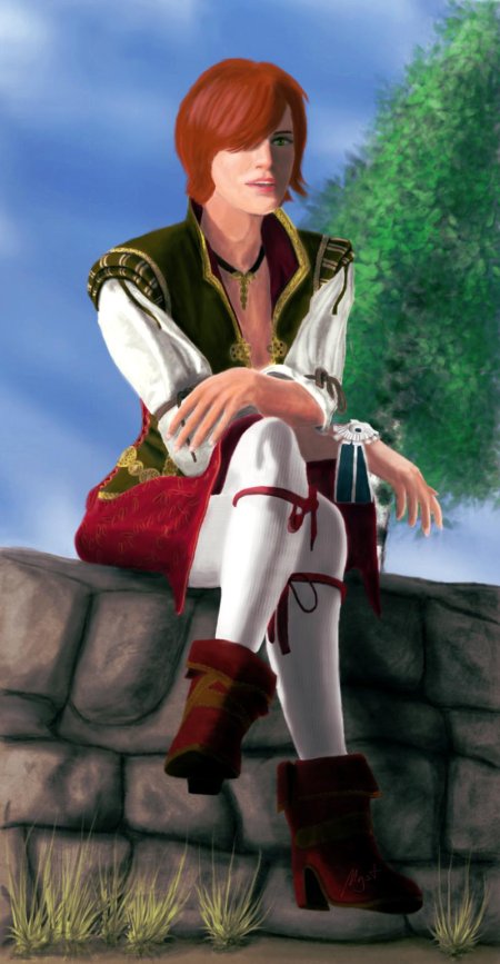 Ведьмак 3 шани