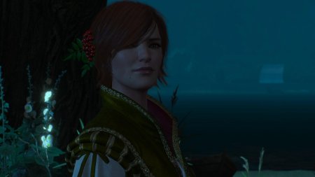 Ведьмак 3 шани