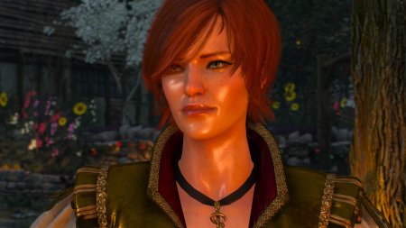 Шани ведьмак