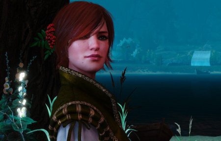 Шани в ведьмак 3