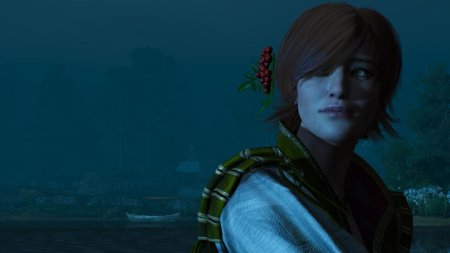 Шани ведьмак 3 каменные сердца