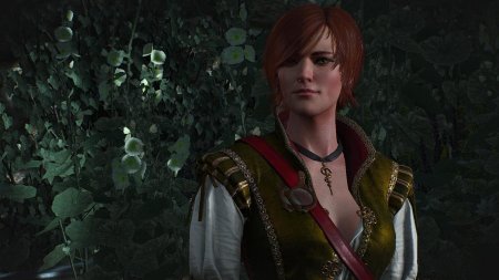 Шани ведьмак 3 каменные сердца