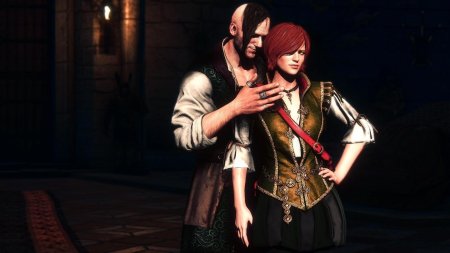 Шани в ведьмак 3