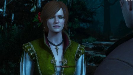 Ведьмак 3 шани