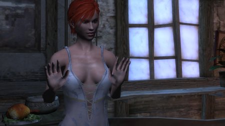 Шани ведьмак 1