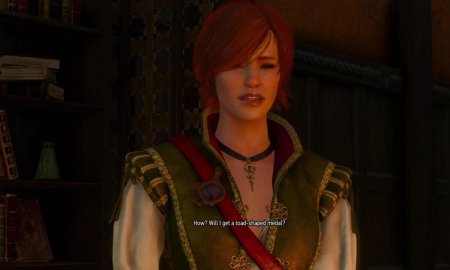 Шани ведьмак 3 каменные сердца