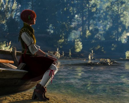 Ведьмак 3 шани