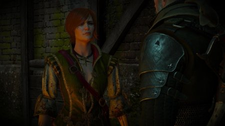 Шани ведьмак 3 каменные сердца