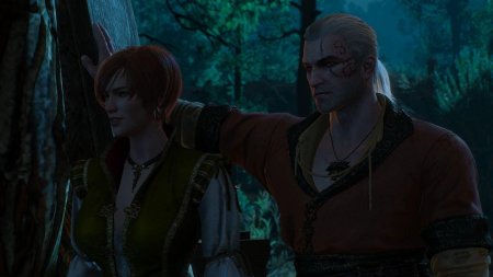 Шани ведьмак 3 каменные сердца