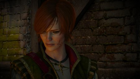 The witcher 1 шани