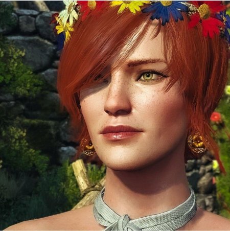 Шани ведьмак 3