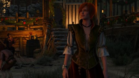 Шани ведьмак 3