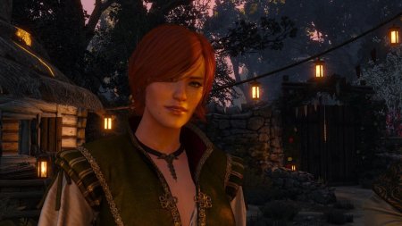 Ведьмак 3 шани