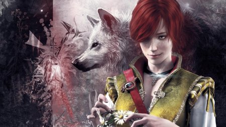 Шани ведьмак 3