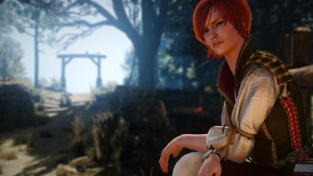 Шани в ведьмак 3