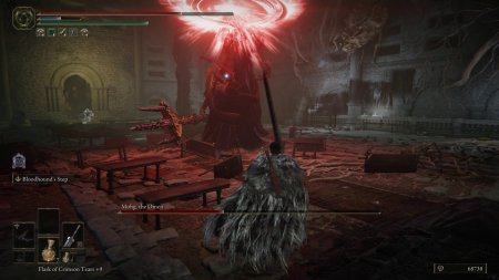 Элден ринг мог знамение