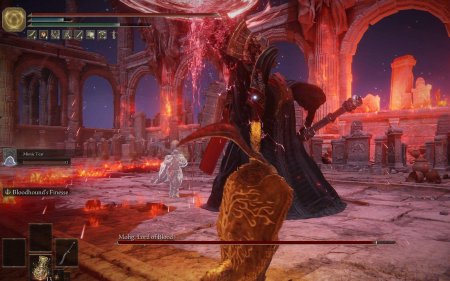 Мог повелитель крови элден ринг