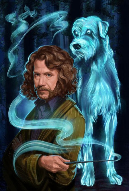 Сириус блэк гарри поттер