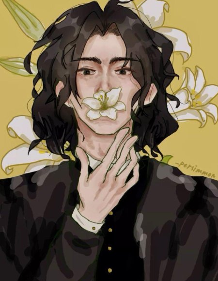 Северус снейп гарри поттер