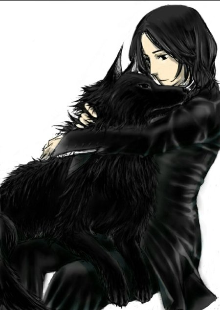 Сириус блэк и северус снейп арт