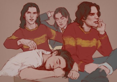 Мародеры гарри поттер