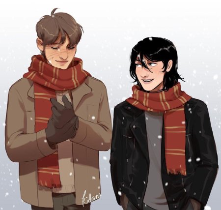 Мародеры гарри поттер