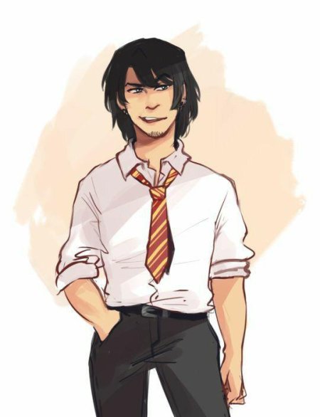 Мародеры гарри поттер