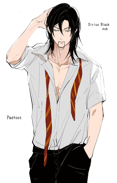 Sirius black harry potter