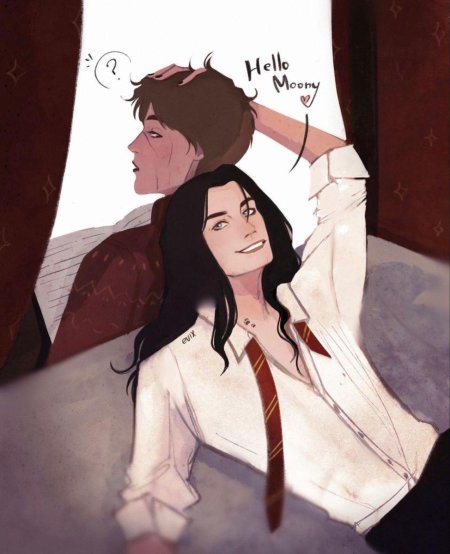 Мародеры гарри поттер