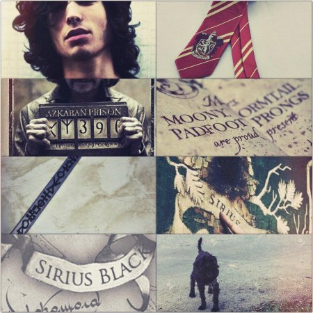 Сириус блэк гарри поттер