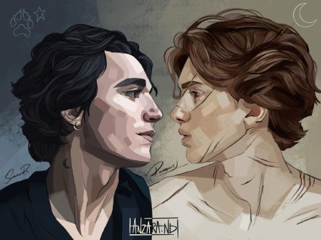 Мародеры гарри поттер