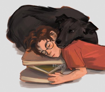 Сириус блэк гарри поттер