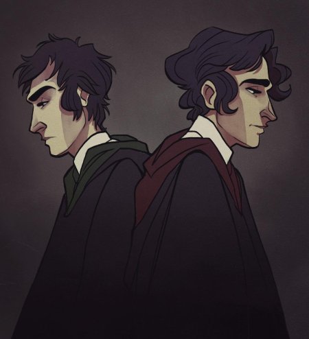 Гарри поттер сириус и регулус