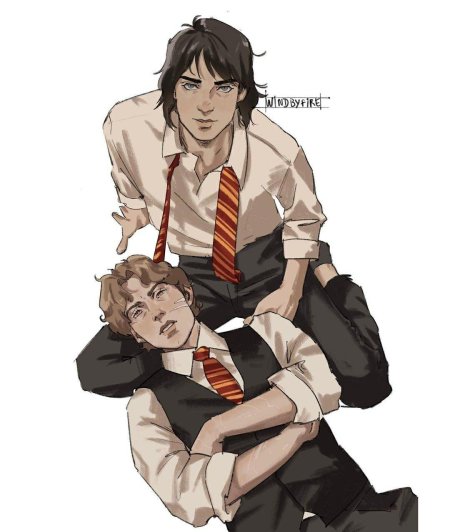 Мародеры гарри поттер