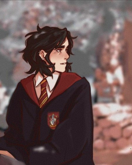 Гарри поттер мародеры