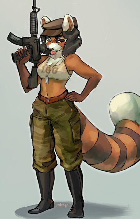 Боевой енот