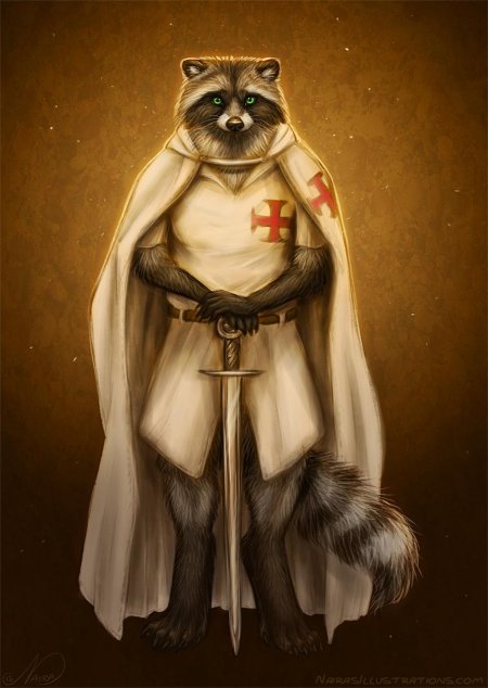 Енот тамплиер