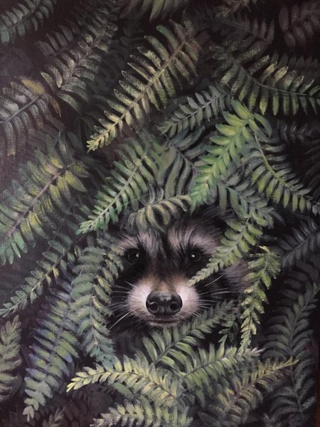 Енот в лесу