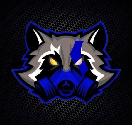 Енот аватар