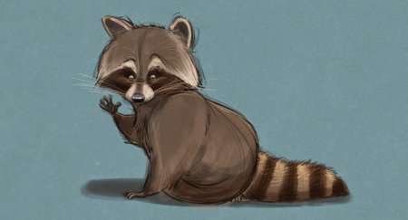 Полоскун енот