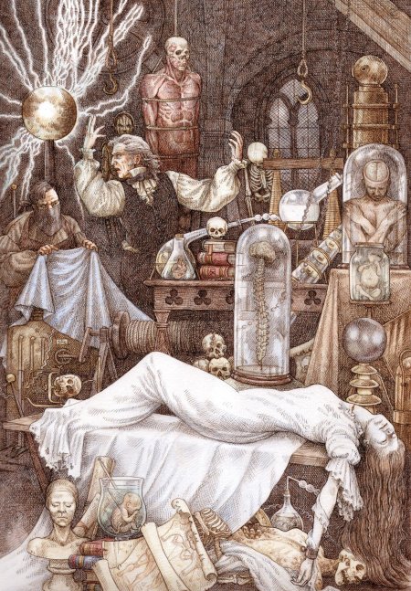 Иллюстратор энн ивонн гилберт