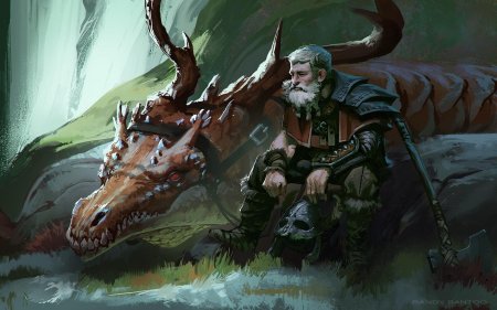 Наездник на драконе