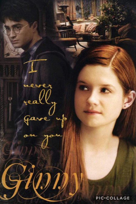 Гарри поттер и джинни уизли любовь