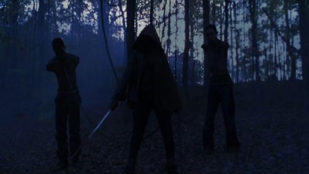 Мишонн ходячие мертвецы