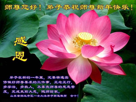 Лотос орехоносный