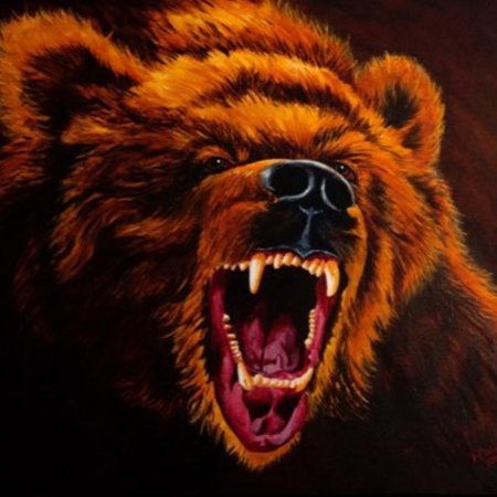 Медведь гризли оскал