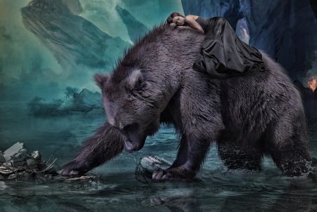 Арт медведь