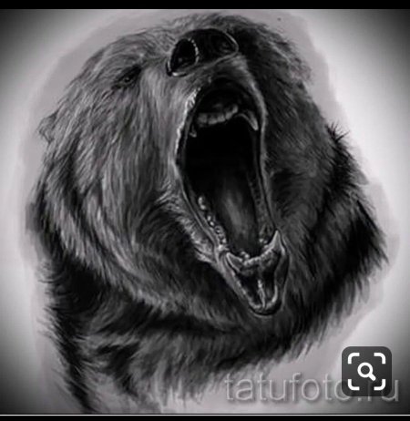 Медведь оскал реализм
